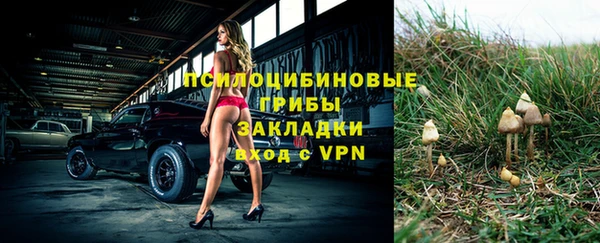 ALPHA-PVP Мегион