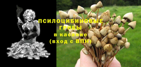 ешки Медвежьегорск