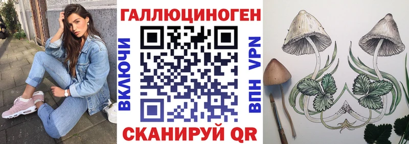 продажа наркотиков  Мирный  Псилоцибиновые грибы MAGIC MUSHROOMS 