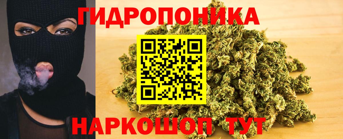 Мирный  Бошки Шишки White Widow  Каннабис сатива  Вход с VPN  МАРИХУАНА гибрид  Канабис AK-47 